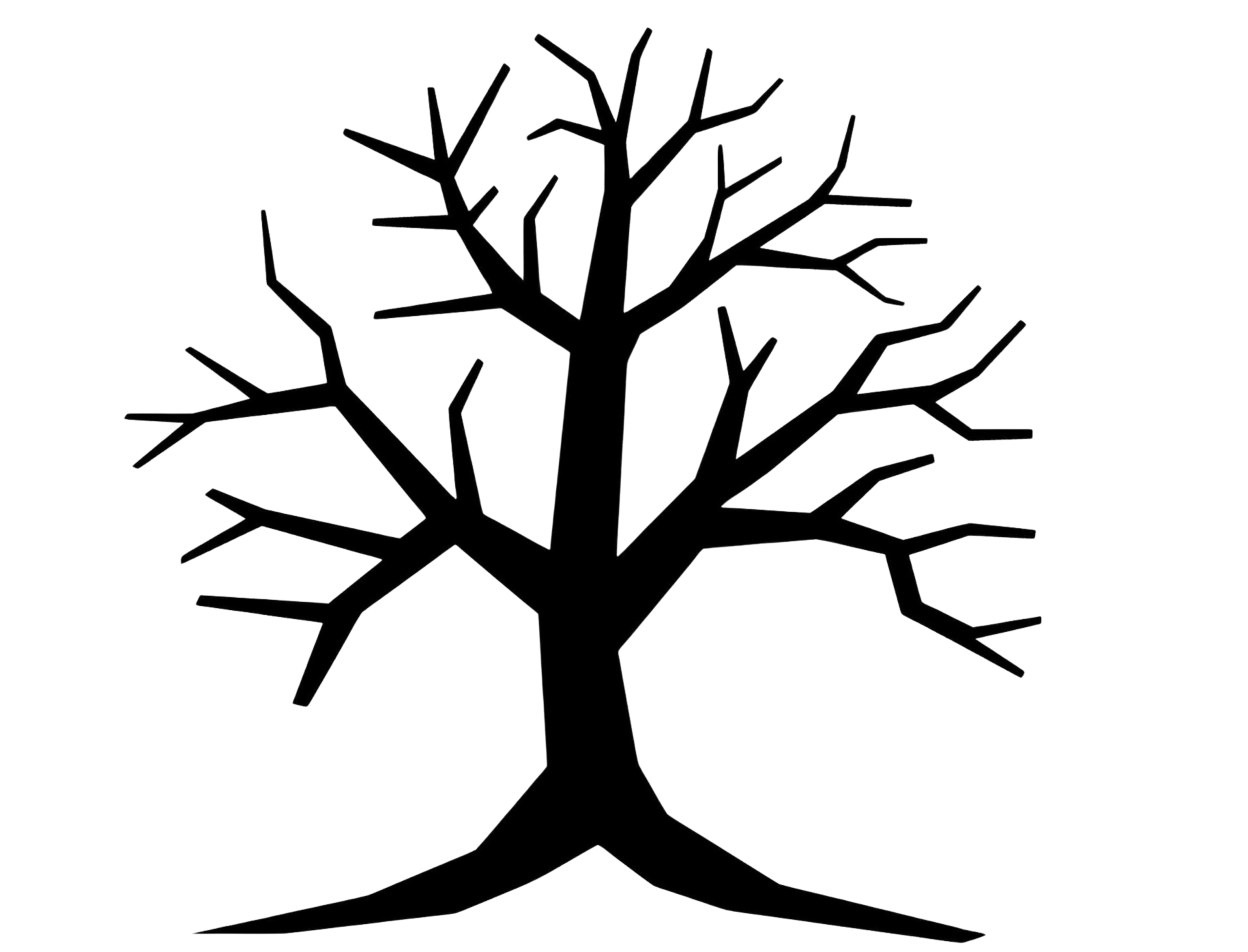 projekt bez nazwy (2)