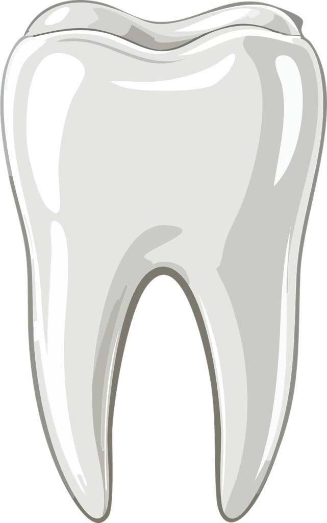 tooth 10005310 1280
